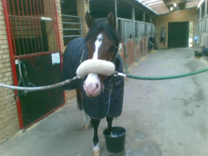 Hygge billeder! - Nååh bassemand er lige i fodbad ;D billede 3