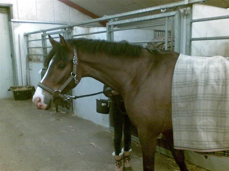 Hygge billeder! - Lige blevet klippet ;D hihi billede 1