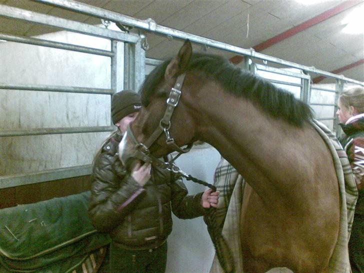 Hygge billeder! billede 5