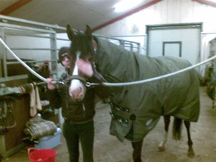 Hygge billeder! billede 6