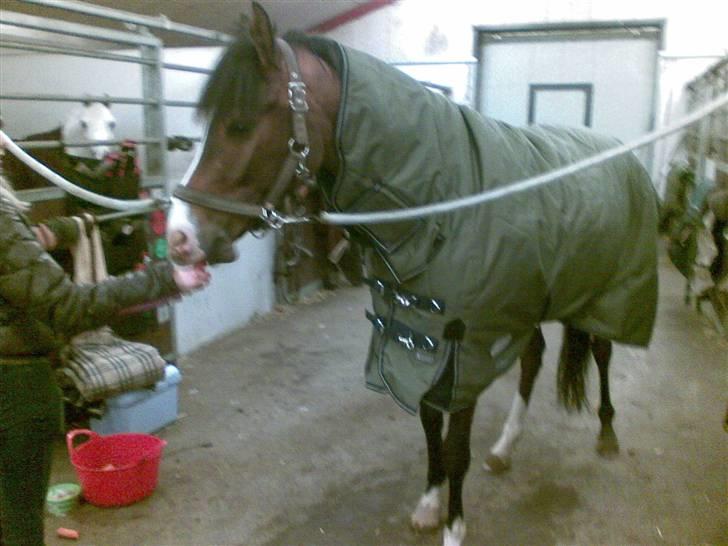 Hygge billeder! billede 7