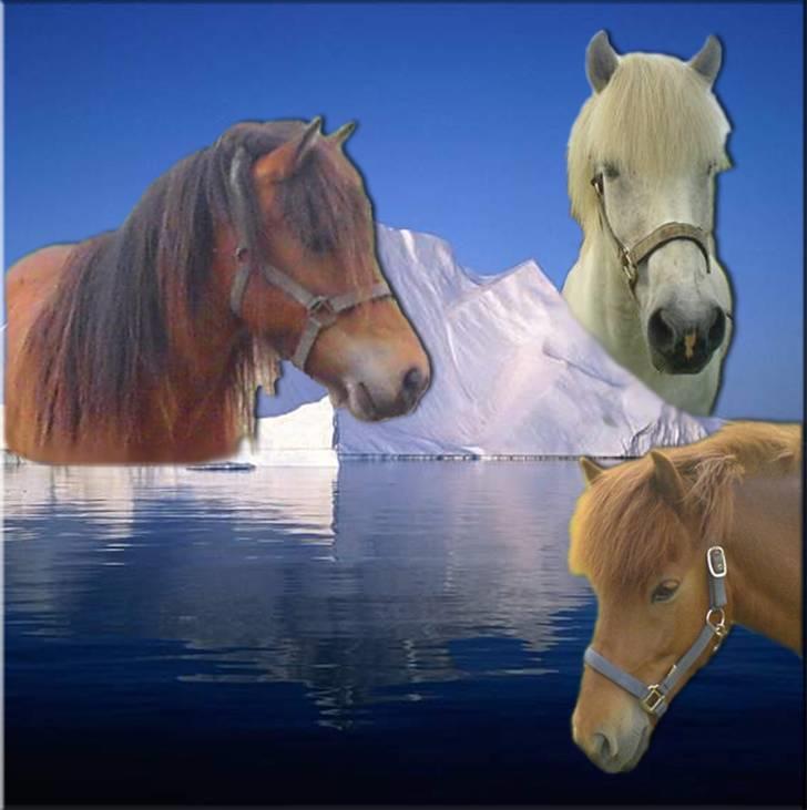 Tegninger og billeder jeg har leget lidt med... - Billede jeg har lavet til Siv A herinde fra. billede 30