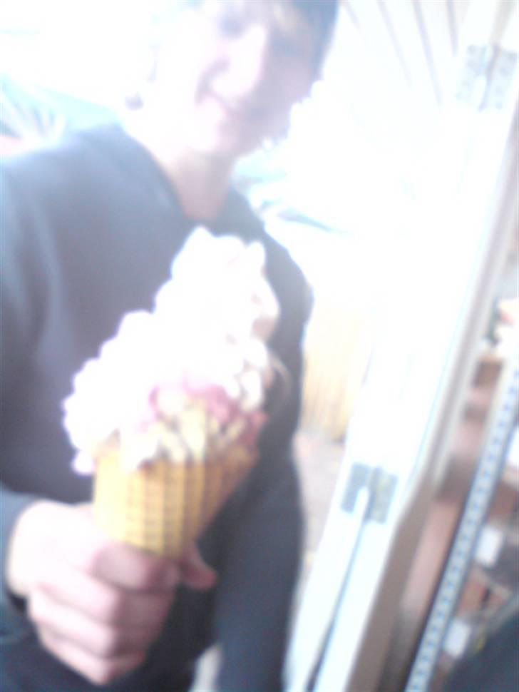 Fårup sommerland billede 3