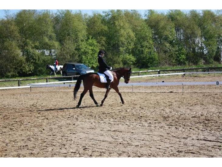 {{currentPhoto.altText}} billede {{currentPhoto.number}}