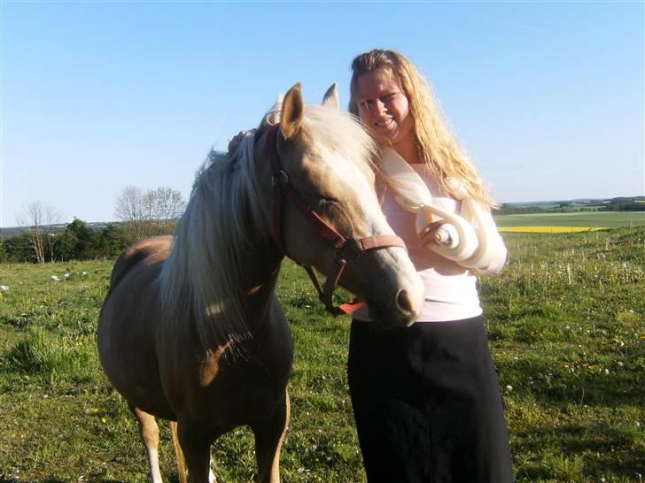 Nathalie´s tykke følle-bølle mavse ;) *NYE BILLEDER* - Højgravide Nathalie og handicappet mig... åhh dumme tyr, holder mig for fremtiden til de levende dyr! billede 10