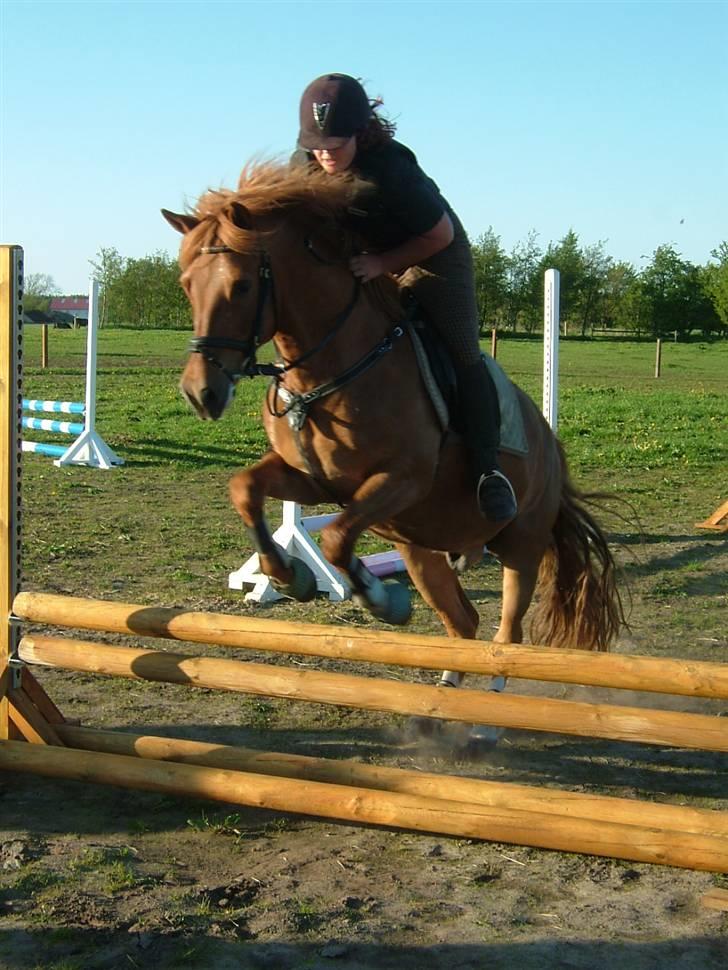 Billeder af andre heste jeg rider - Sprang på Emil i HPK til indvielse af springbanen :)
D.12/5-09
Fotograf: Min Mor :) billede 1