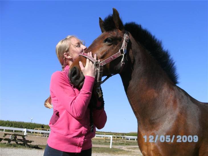 {{currentPhoto.altText}} billede {{currentPhoto.number}}