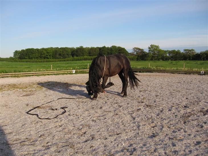 {{currentPhoto.altText}} billede {{currentPhoto.number}}