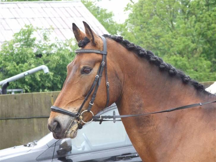 Stæve på BIF den 16 Maj 09 billede 3