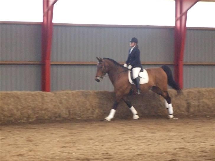 Stæve på BIF den 16 Maj 09 billede 5