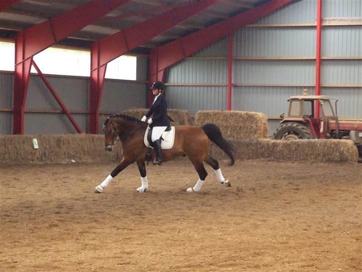 Stæve på BIF den 16 Maj 09 billede 6