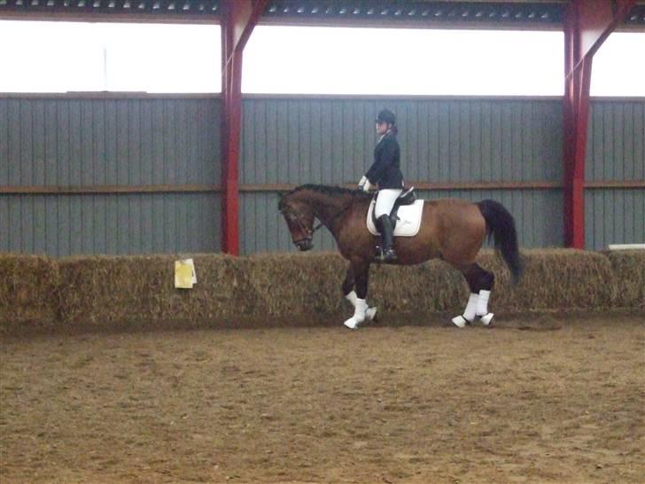 Stæve på BIF den 16 Maj 09 billede 7