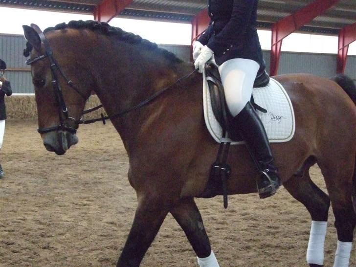 Stæve på BIF den 16 Maj 09 billede 8