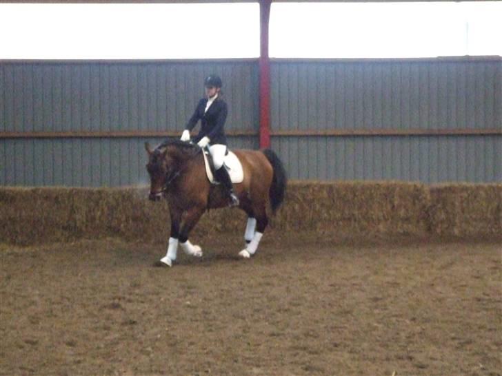 Stæve på BIF den 16 Maj 09 billede 9