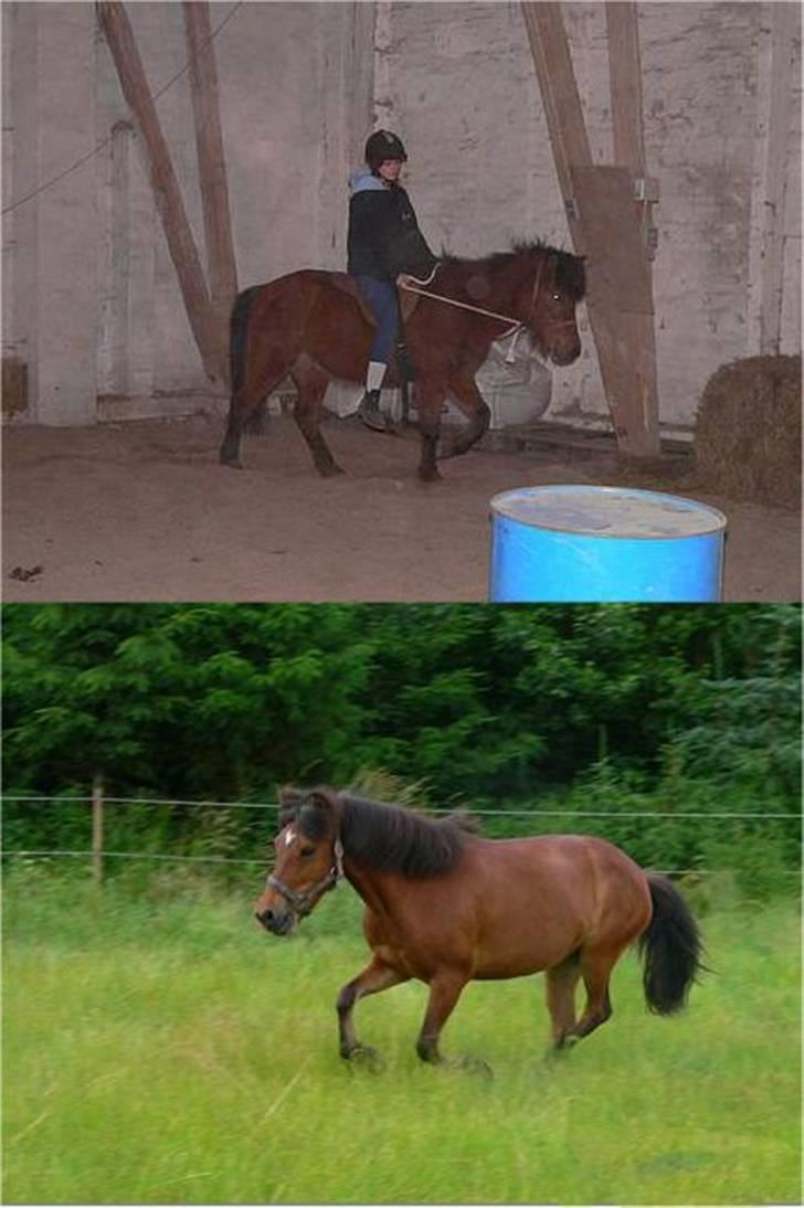 Manipulerede billeder - Lavet for Jeanette L billede 13