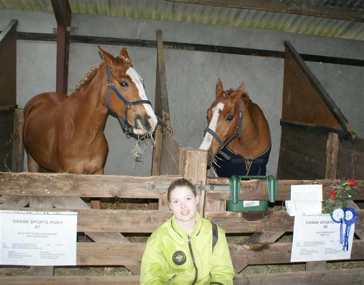 Dyrskue Varde - Betina får sig en hvil mellem ponyerne billede 6