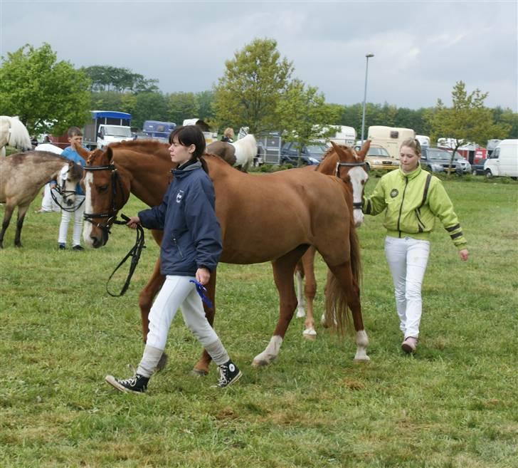 Dyrskue Varde billede 10