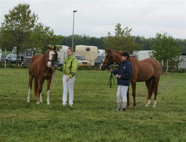 Dyrskue Varde - Venter på at det bliver deres tur billede 11