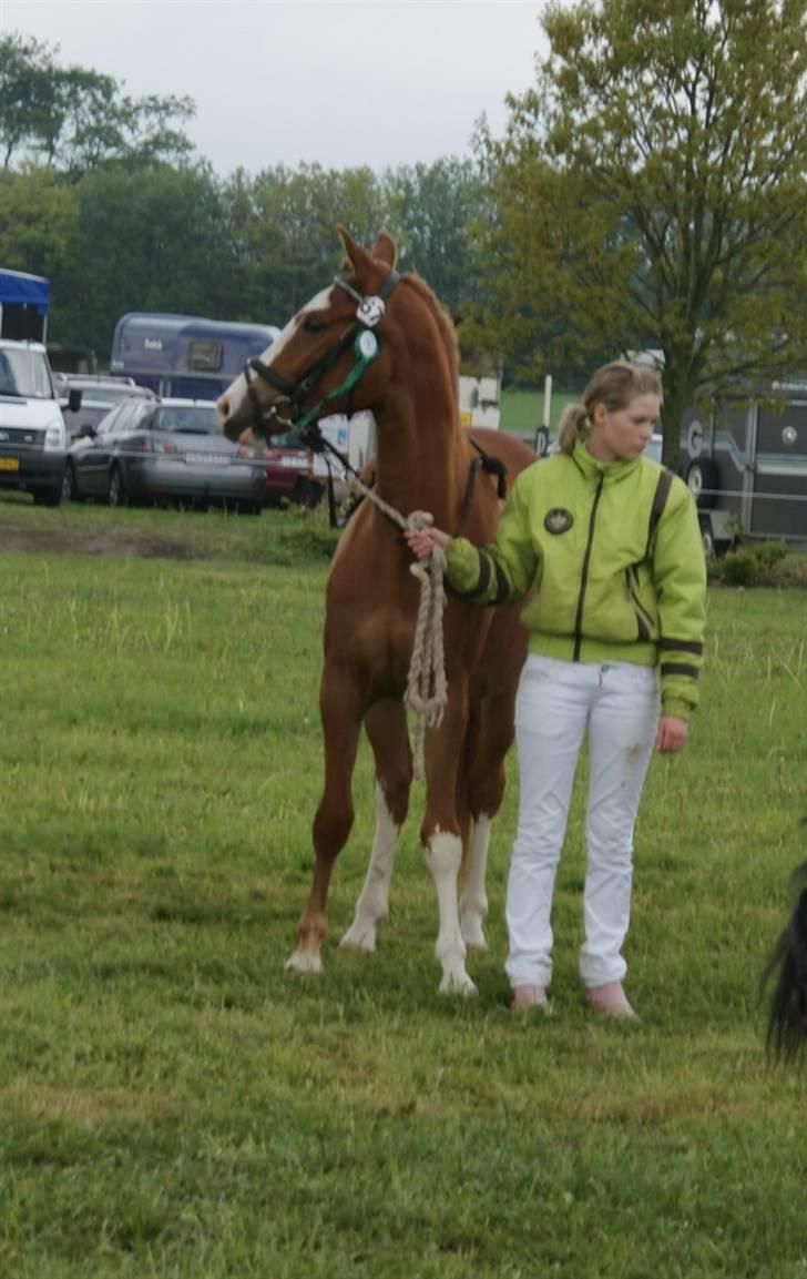 Dyrskue Varde - Kika skulle have alt med :-) billede 12