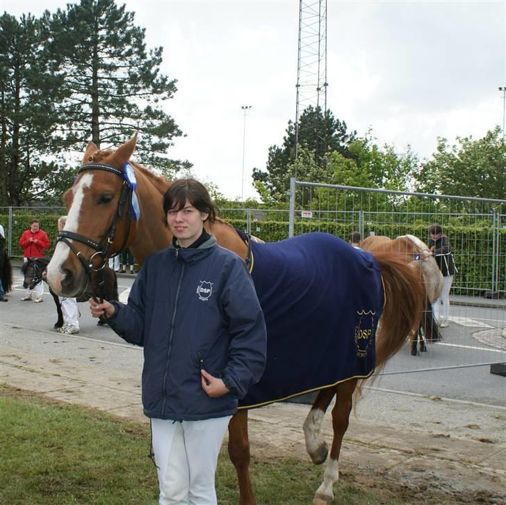 Dyrskue Varde billede 13