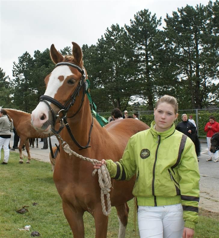 Dyrskue Varde billede 14
