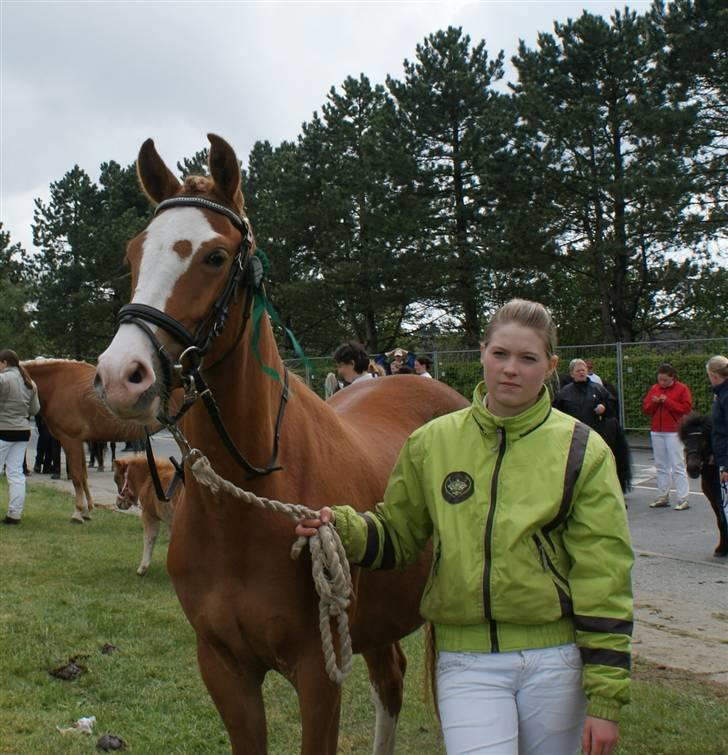 Dyrskue Varde billede 15