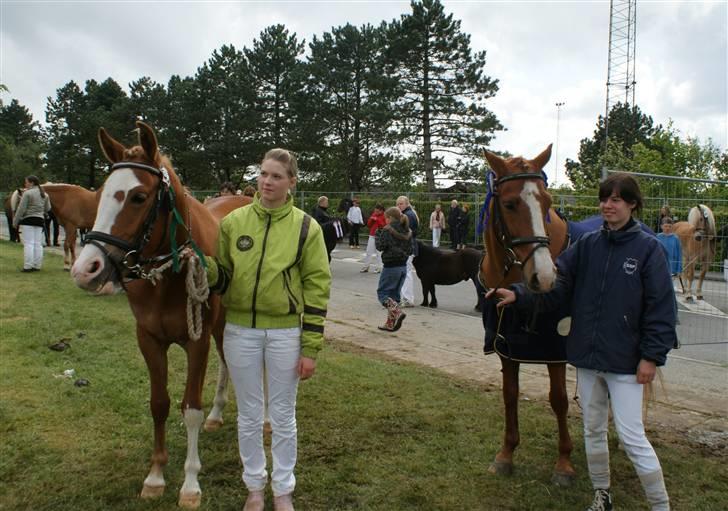 Dyrskue Varde billede 16