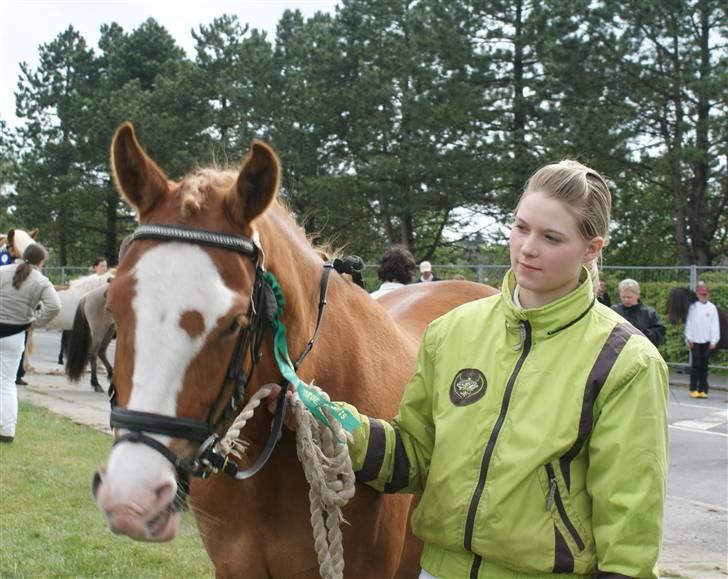 Dyrskue Varde - Kika vil heller røre sig end at stå stille og vente billede 18