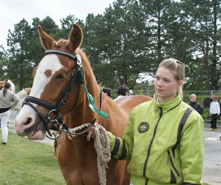 Dyrskue Varde - Venter på at komme ind til hesteparaden billede 19