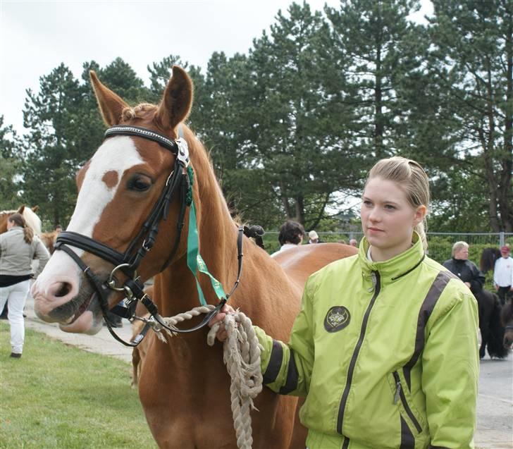 Dyrskue Varde billede 20