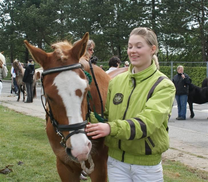 Dyrskue Varde billede 21