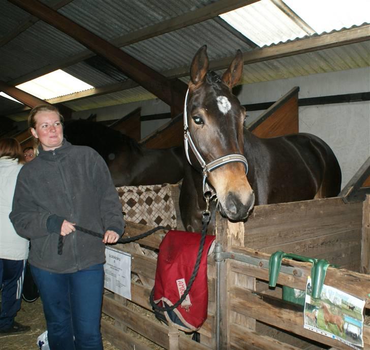 Dyrskue Varde - Kika nye legekammerat. den 3 årige Olden borger hoppe Overmoselund´s La-Bella.


Kika og La-Bella var rigtig søde sammen. Delte krybbe og hø med hinanden. Kika spiste fra mulen af La-Bella
 billede 26