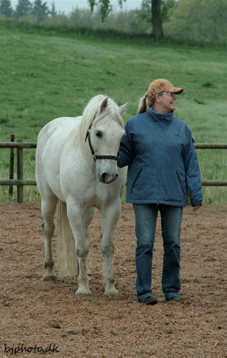 Billeder a en fisk billede 7