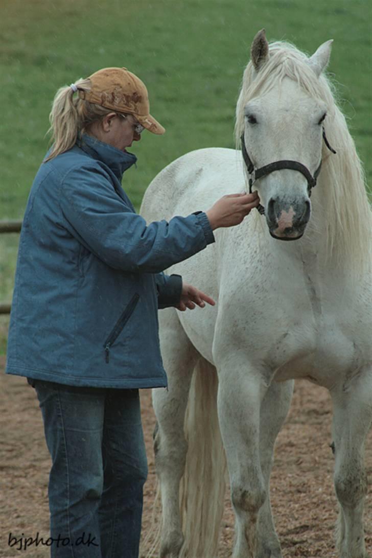 Billeder a en fisk billede 8