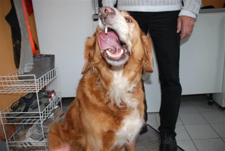 Fra min konfirmation billede 14