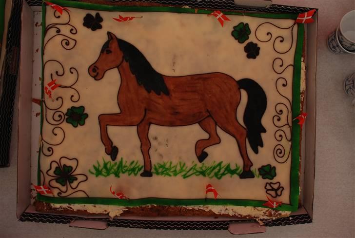 Fra min konfirmation billede 18