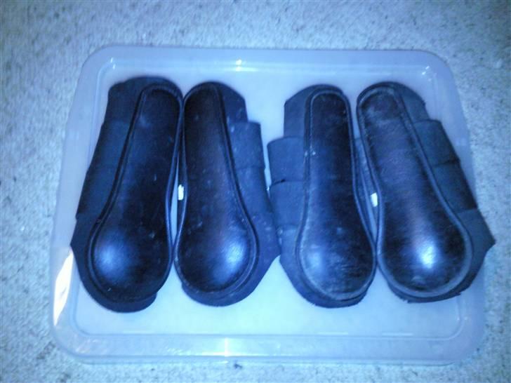 Udstyr til salg - sorte dressur gemasjer str s billede 1