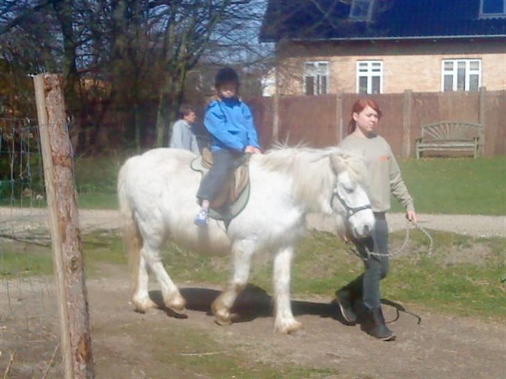 Odsherred dyrepark - Pony trækning xD billede 25