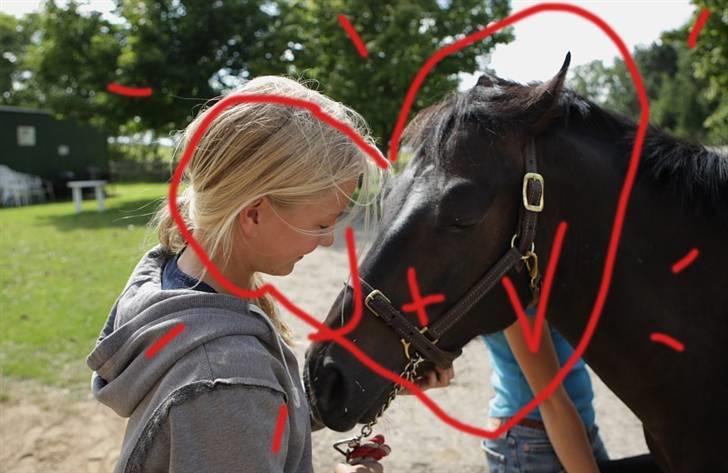 VIKTOR, FOTOGRAF : KARIN RØNNEBÆK.  billede 1