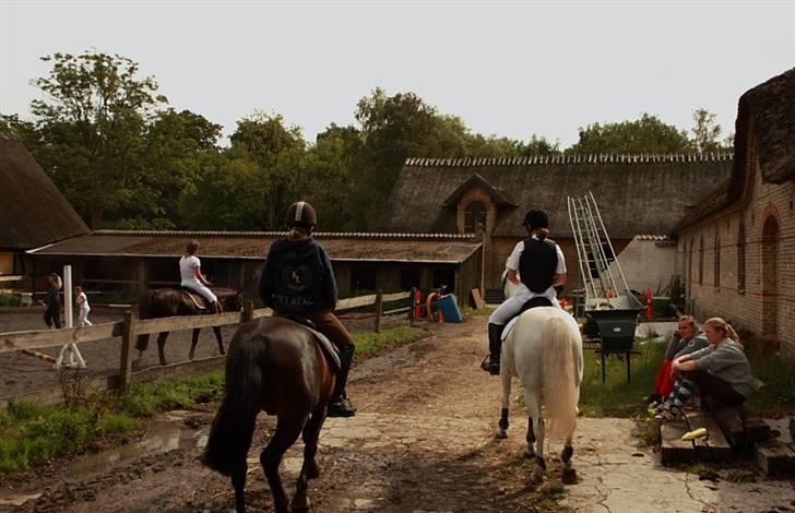 VIKTOR, FOTOGRAF : KARIN RØNNEBÆK.  billede 2