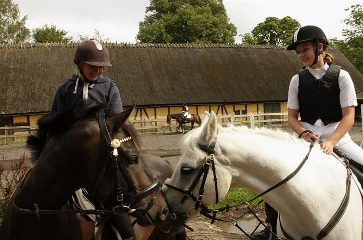VIKTOR, FOTOGRAF : KARIN RØNNEBÆK.  billede 3