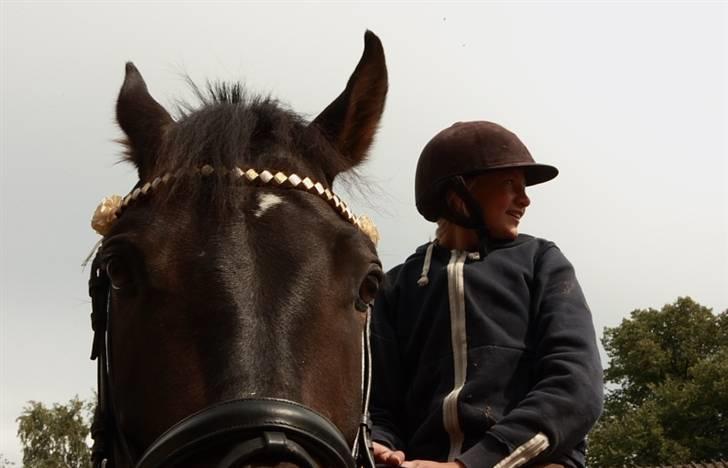 VIKTOR, FOTOGRAF : KARIN RØNNEBÆK.  billede 4
