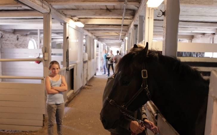 VIKTOR, FOTOGRAF : KARIN RØNNEBÆK.  billede 5