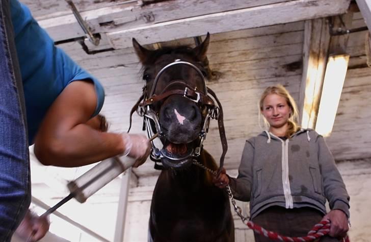VIKTOR, FOTOGRAF : KARIN RØNNEBÆK.  billede 8