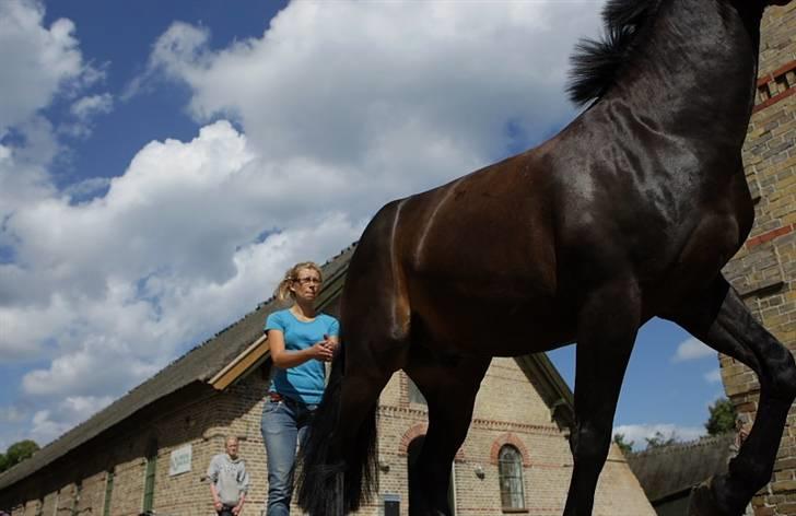 VIKTOR, FOTOGRAF : KARIN RØNNEBÆK.  billede 9