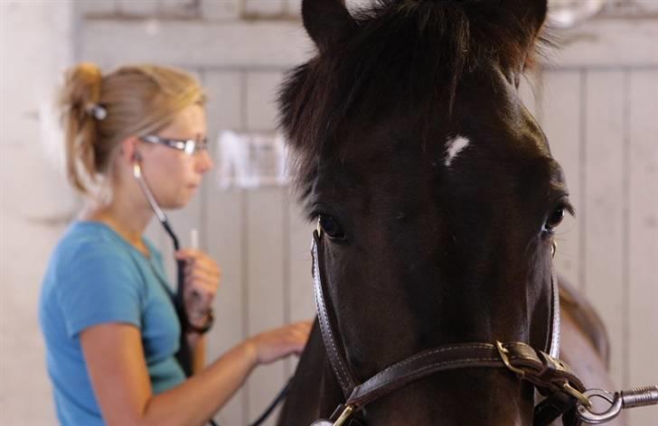 VIKTOR, FOTOGRAF : KARIN RØNNEBÆK.  billede 11