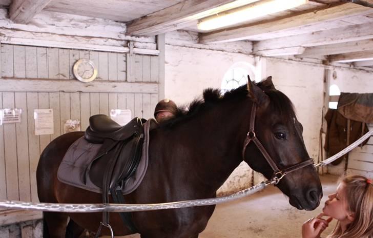 VIKTOR, FOTOGRAF : KARIN RØNNEBÆK.  billede 12