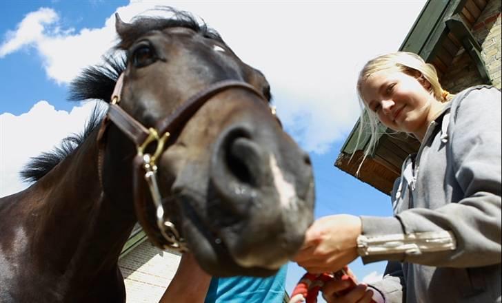 VIKTOR, FOTOGRAF : KARIN RØNNEBÆK.  billede 14