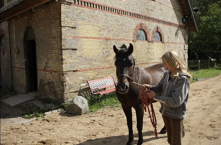 VIKTOR, FOTOGRAF : KARIN RØNNEBÆK.  billede 15