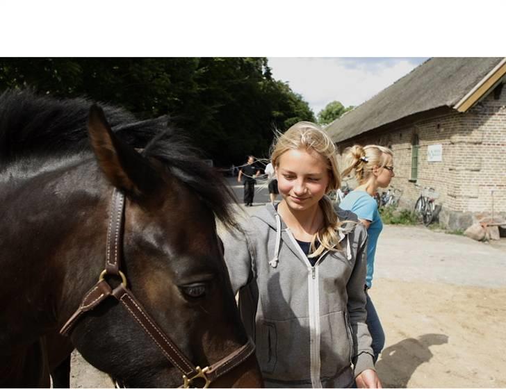 VIKTOR, FOTOGRAF : KARIN RØNNEBÆK.  billede 16